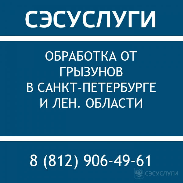 Крыса в машине