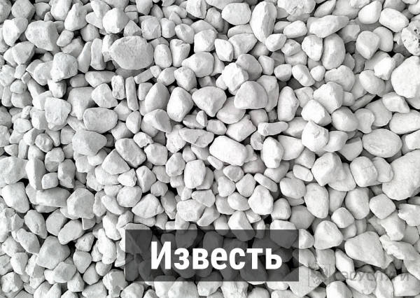 Известь Известь