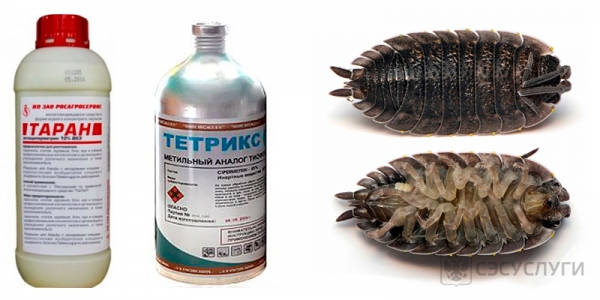 Спреи от мокриц