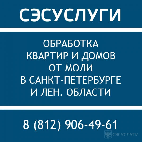 Моль в квартире