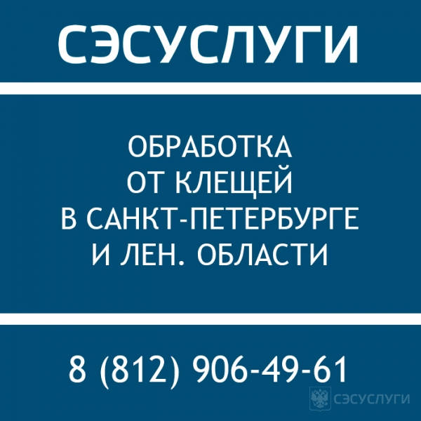 Народные средства от клещей