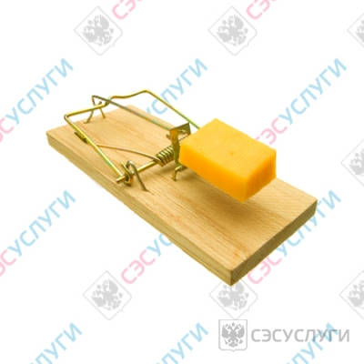 Мышеловка для дома