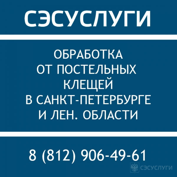 Уничтожение постельных клещей Уничтожение постельных клещей