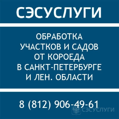 Обработка от короеда