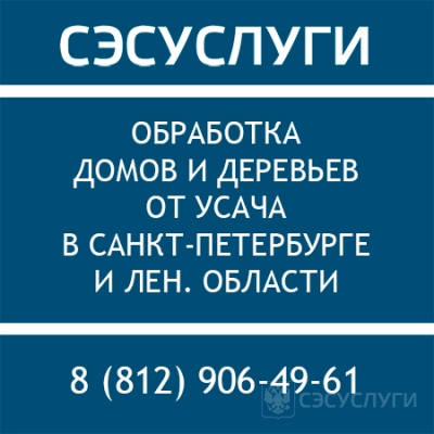Обработка от жука усача