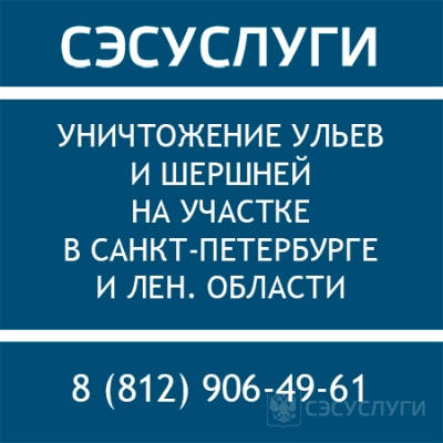 Обработка от шершней